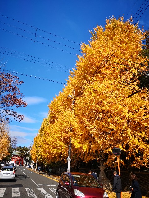 f:id:rotoyk:20191201182522j:image