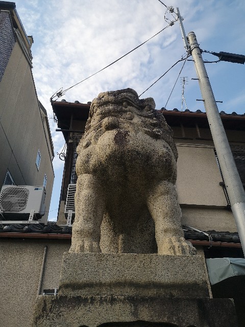 f:id:rotoyk:20191201184612j:image