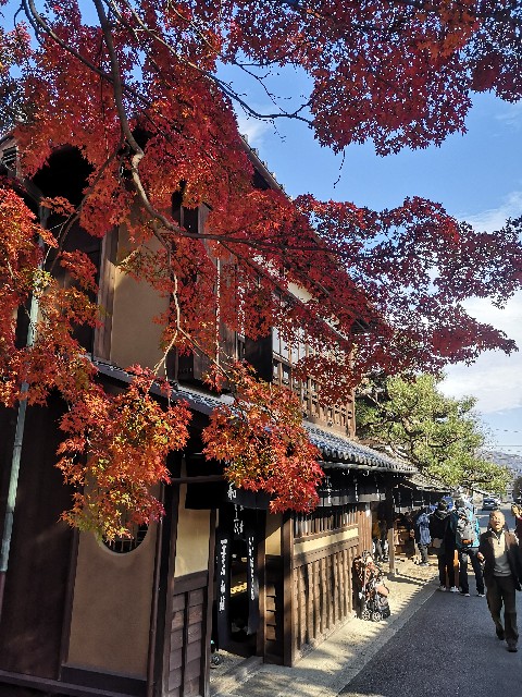 f:id:rotoyk:20191201192636j:image
