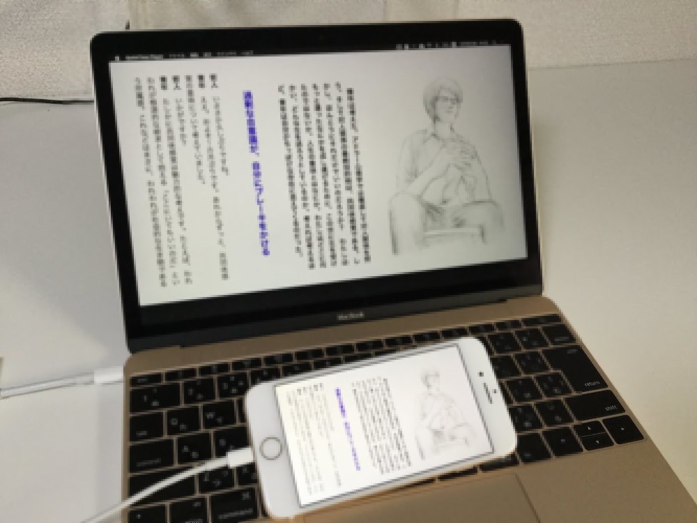 f:id:rough-maker-an9:20180119155307j:plain