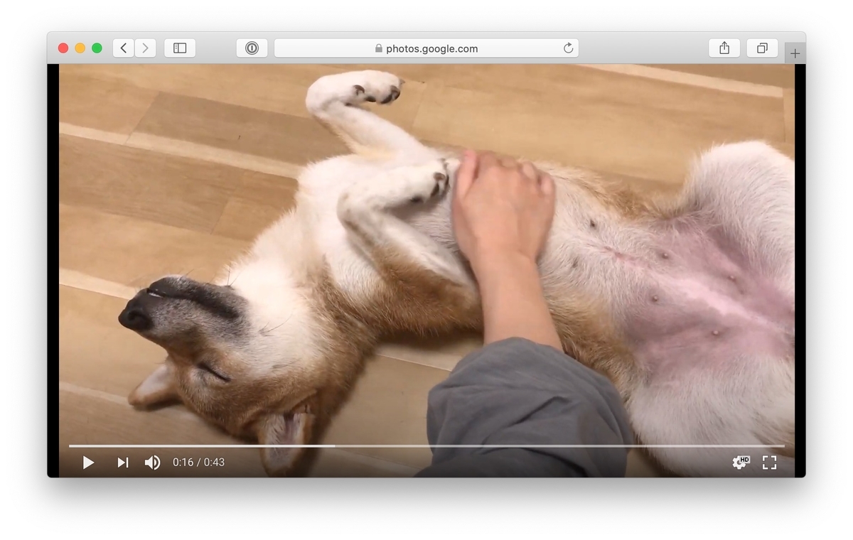 f:id:rough-maker-an9:20200710125534j:plain