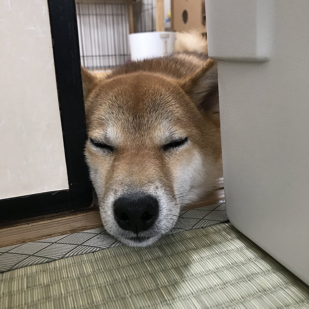 f:id:rough-maker-an9:20201019001509j:plain