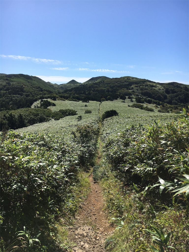 f:id:roughcrew:20190916234544j:image