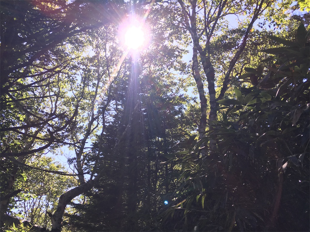 f:id:roughcrew:20190916234552j:image