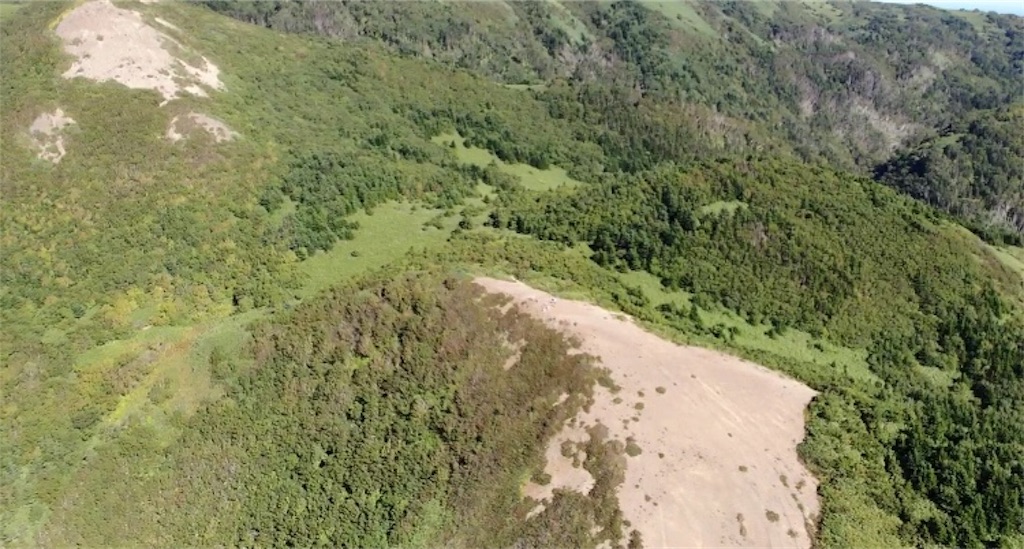 f:id:roughcrew:20190917011845j:image