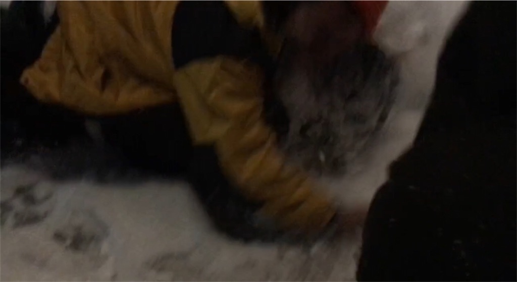f:id:roughcrew:20200212011409j:image f:id:roughcrew:20200212011409j:image