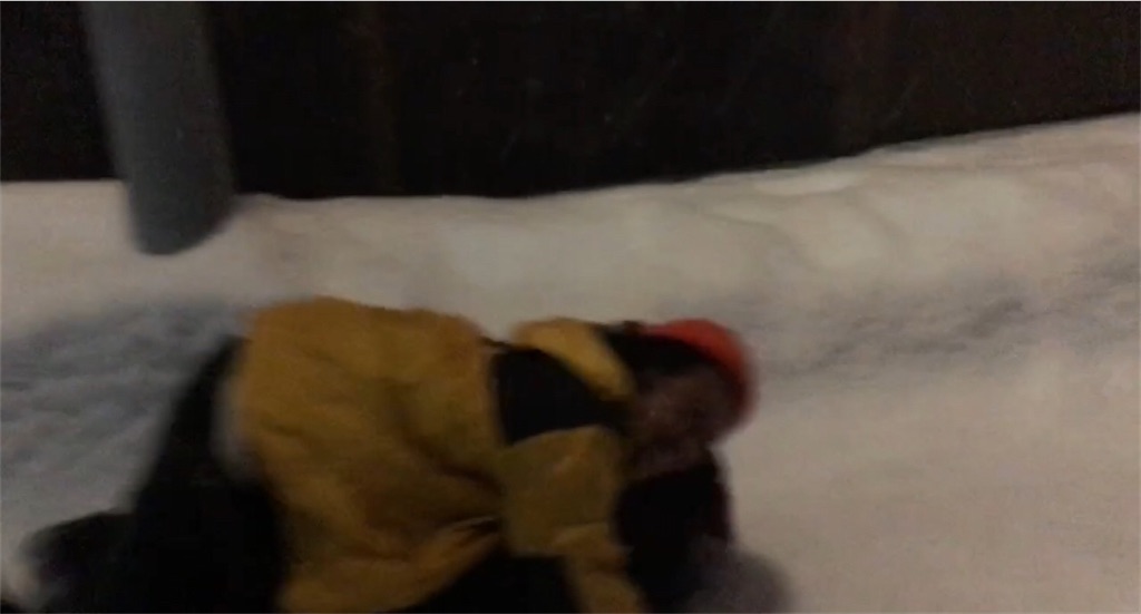 f:id:roughcrew:20200212011515j:image f:id:roughcrew:20200212011515j:image