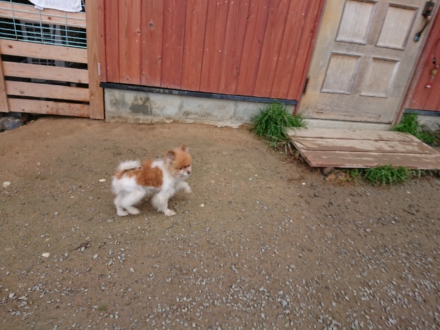 f:id:roukenhome-ann:20181108121202j:plain
