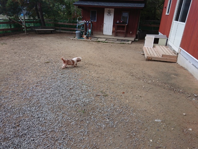 f:id:roukenhome-ann:20181108121314j:plain