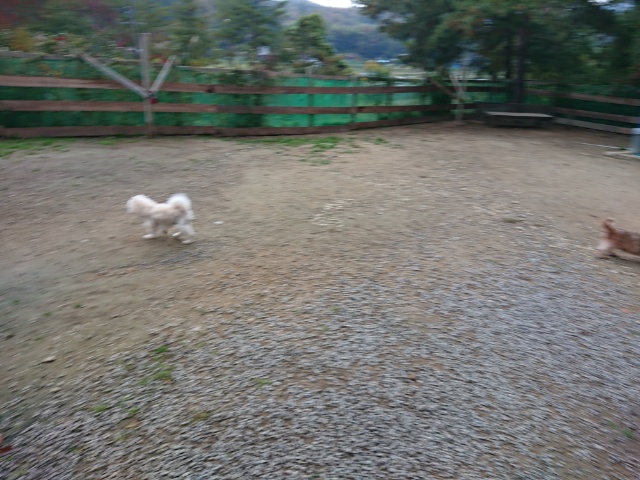f:id:roukenhome-ann:20181108121320j:plain