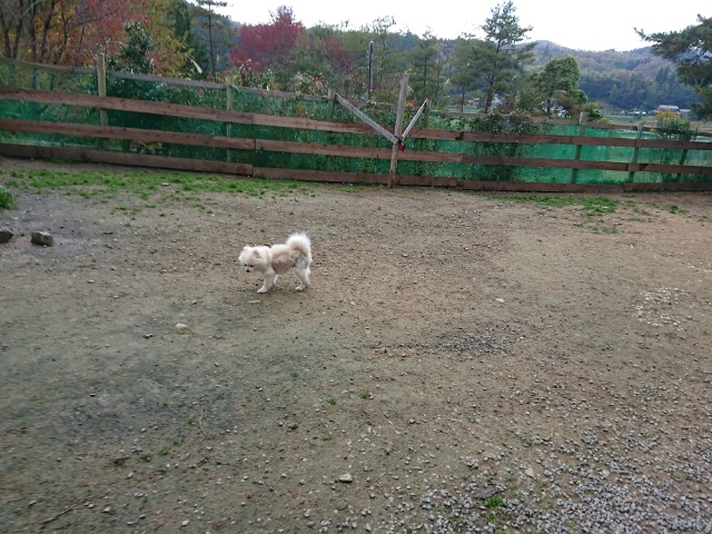 f:id:roukenhome-ann:20181108121325j:plain