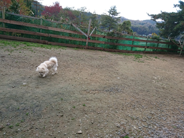 f:id:roukenhome-ann:20181108121330j:plain