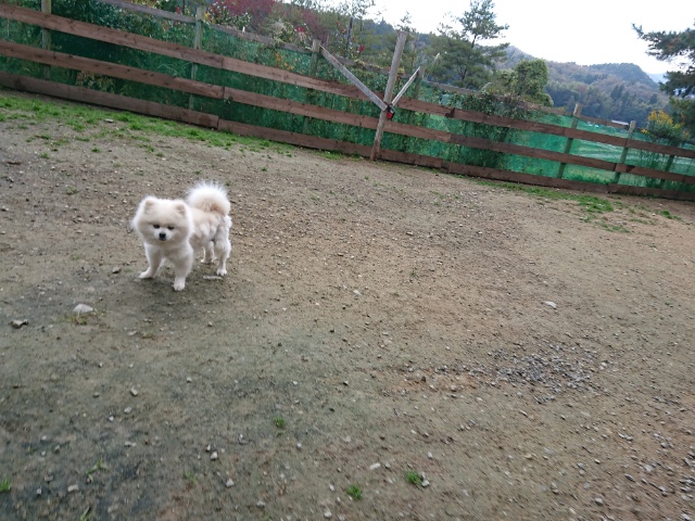 f:id:roukenhome-ann:20181108121339j:plain