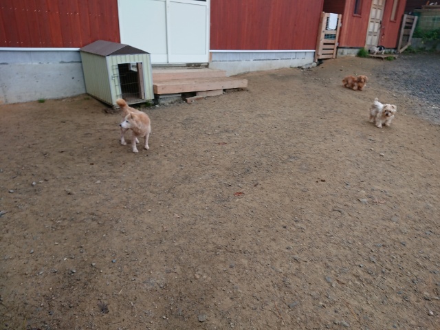 f:id:roukenhome-ann:20181108121441j:plain