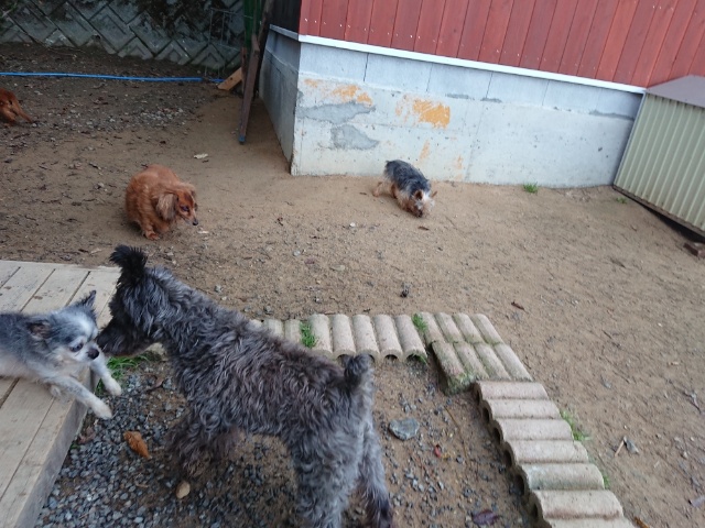 f:id:roukenhome-ann:20181108121550j:plain