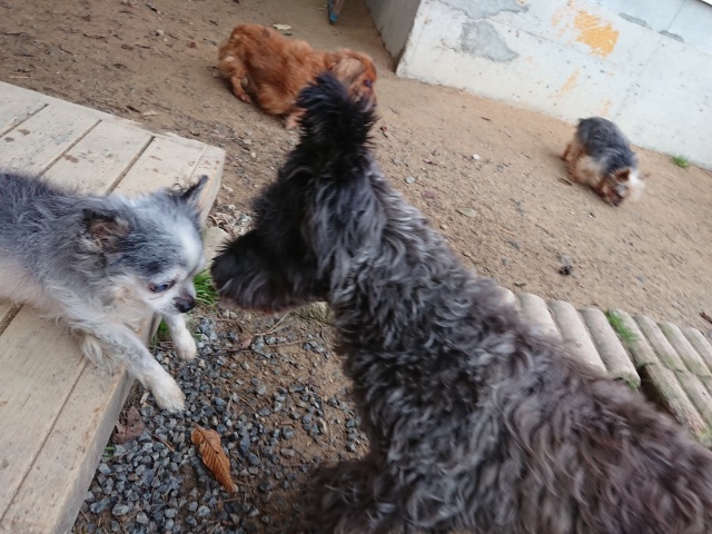 f:id:roukenhome-ann:20181108121558j:plain