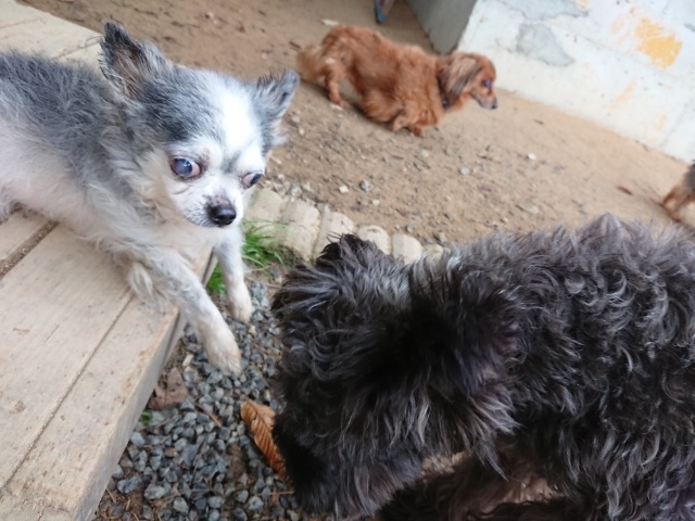 f:id:roukenhome-ann:20181108121602j:plain