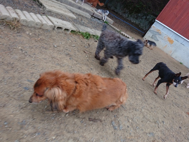 f:id:roukenhome-ann:20181108121745j:plain