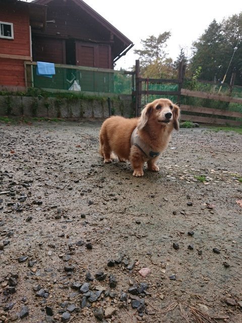 f:id:roukenhome-ann:20181109123405j:plain