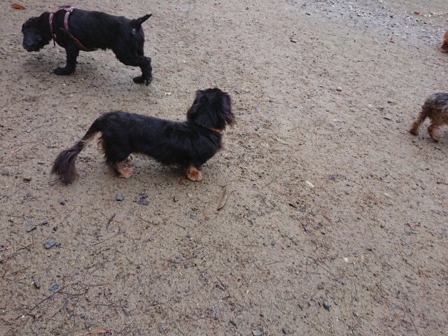f:id:roukenhome-ann:20181110140404j:plain