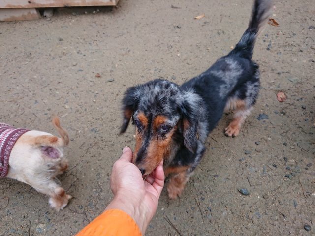 f:id:roukenhome-ann:20181110140902j:plain