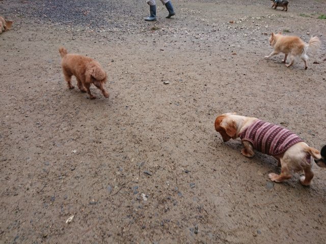 f:id:roukenhome-ann:20181110140911j:plain