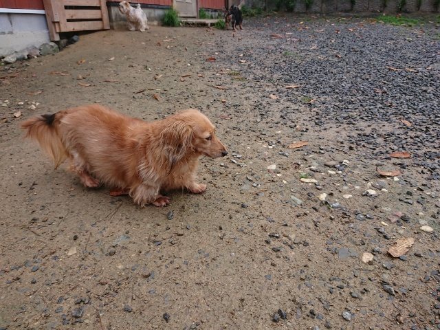 f:id:roukenhome-ann:20181110141014j:plain
