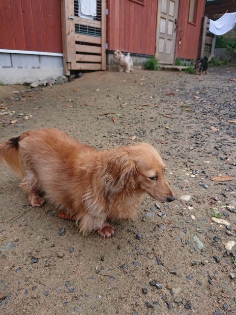 f:id:roukenhome-ann:20181110141018j:plain