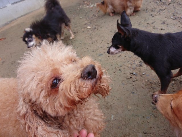 f:id:roukenhome-ann:20181110141055j:plain