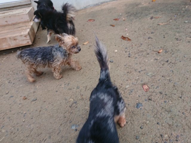 f:id:roukenhome-ann:20181110141321j:plain