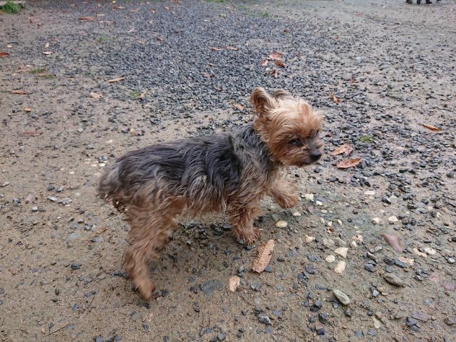 f:id:roukenhome-ann:20181110141338j:plain