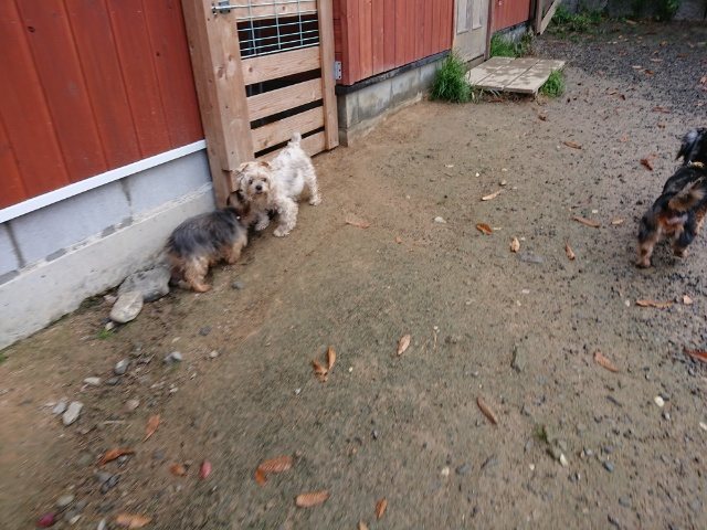 f:id:roukenhome-ann:20181110141347j:plain