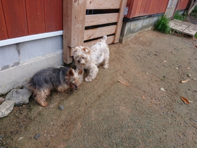 f:id:roukenhome-ann:20181110141353j:plain
