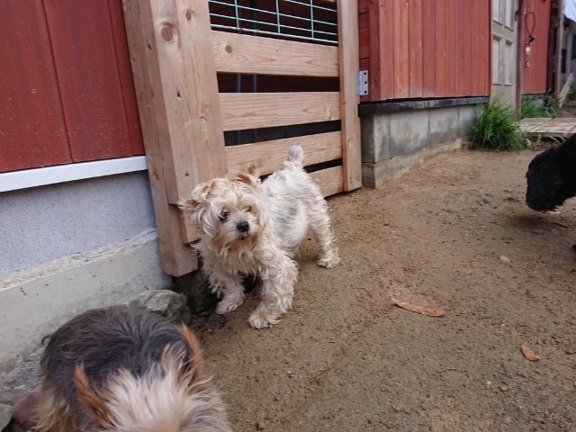 f:id:roukenhome-ann:20181110141411j:plain