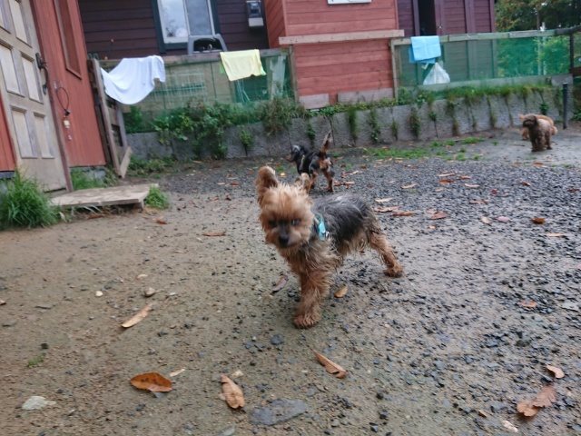 f:id:roukenhome-ann:20181110141420j:plain