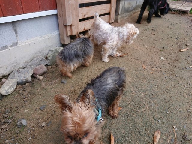 f:id:roukenhome-ann:20181110141437j:plain