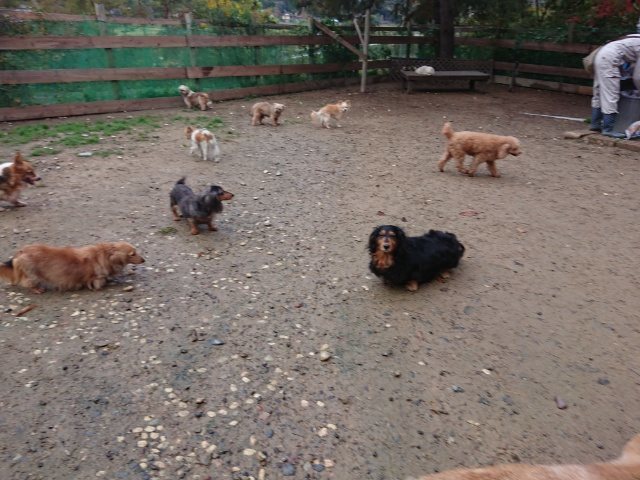 f:id:roukenhome-ann:20181110141442j:plain