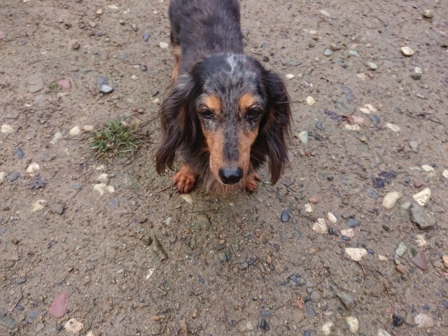 f:id:roukenhome-ann:20181110141452j:plain