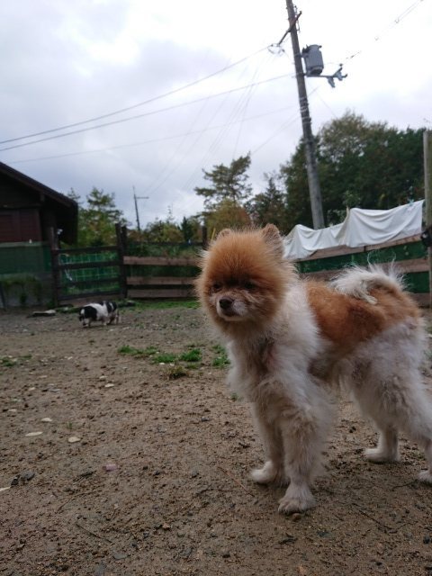 f:id:roukenhome-ann:20181110141512j:plain