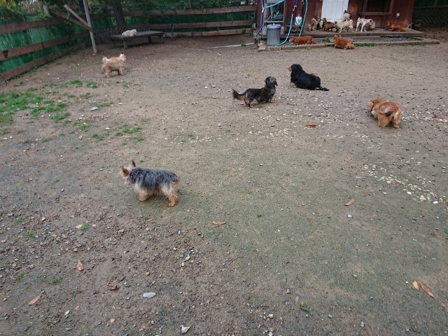 f:id:roukenhome-ann:20181110141652j:plain
