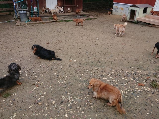 f:id:roukenhome-ann:20181110141658j:plain