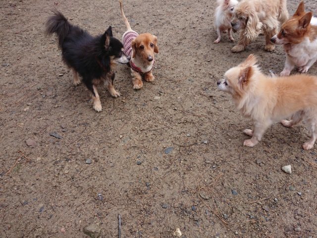 f:id:roukenhome-ann:20181110141723j:plain