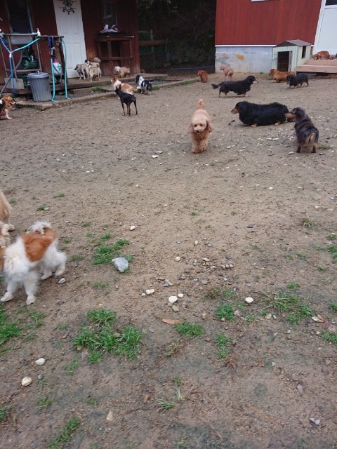 f:id:roukenhome-ann:20181110141806j:plain