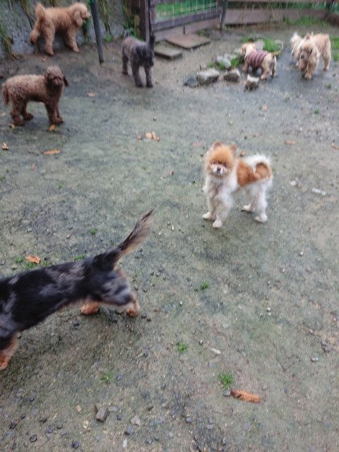 f:id:roukenhome-ann:20181110141909j:plain