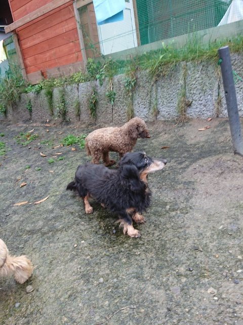f:id:roukenhome-ann:20181110141928j:plain