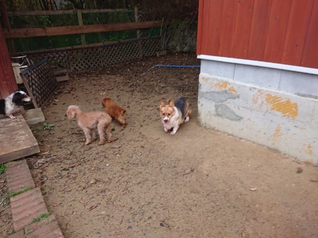 f:id:roukenhome-ann:20181110142141j:plain