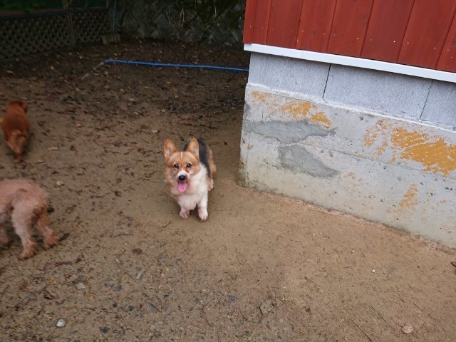 f:id:roukenhome-ann:20181110142147j:plain