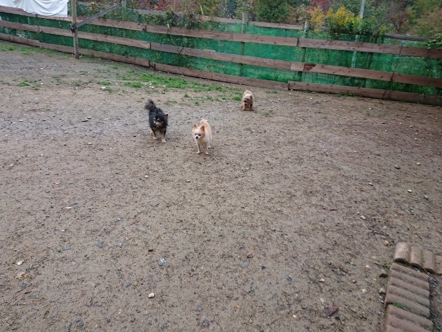 f:id:roukenhome-ann:20181110142258j:plain