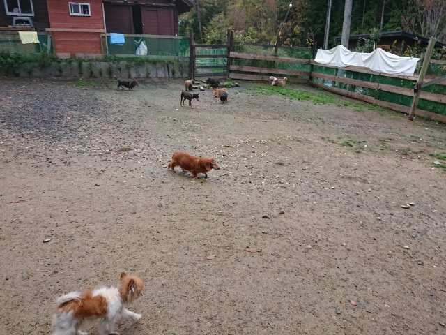 f:id:roukenhome-ann:20181110142320j:plain