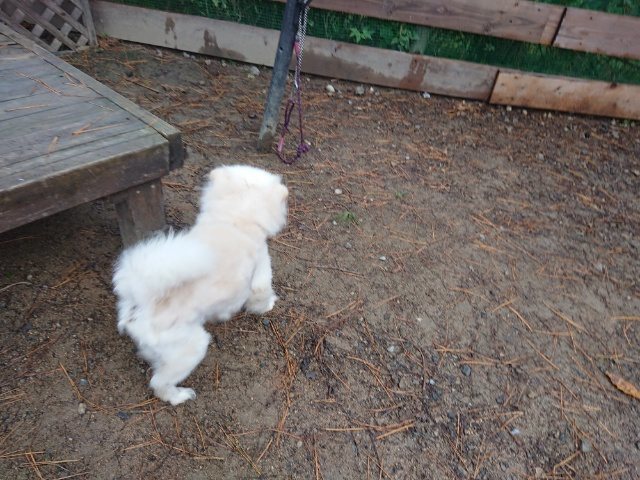 f:id:roukenhome-ann:20181110143012j:plain